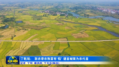 政协委员风采 | 丁乾瑞：联农带农致富有“稻” 建言献策为农代言