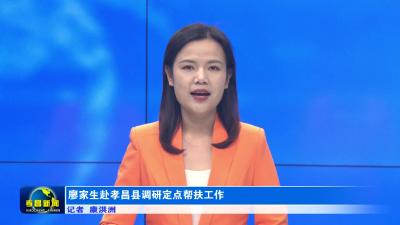 汉川市到孝昌县开展乡村振兴区域协作交流