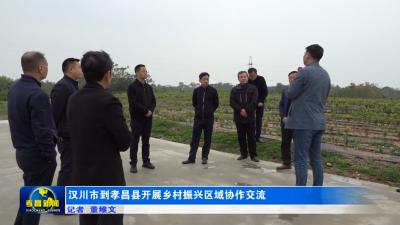 汉川市到孝昌县开展乡村振兴区域协作交流