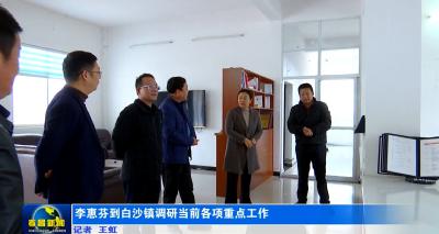 李惠芬到白沙镇调研当前各项重点工作