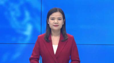 王店镇：发展草莓产业  助力乡村振兴