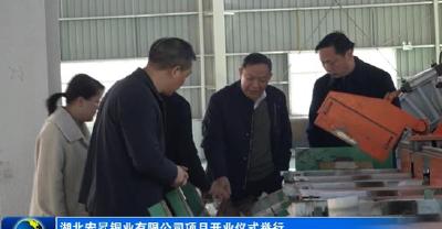 湖北宏昇铜业有限公司项目开业仪式举行