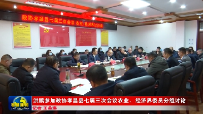 洪鹏参加政协孝昌县七届三次会议农业、经济界委员分组讨论