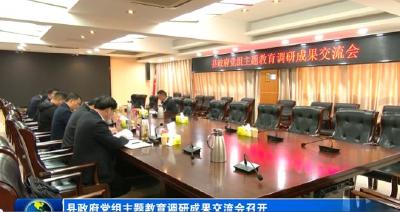 县政府党组主题教育调研成果交流会召开