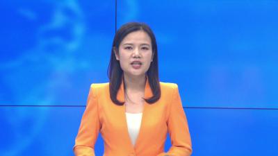 县政府党组主题教育调研成果交流会召开