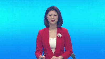 --洪鹏参加政协孝昌县七届三次会议农业、经济界委员分组讨论