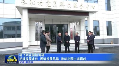 胡飞到花园镇调研 把握发展定位 理清发展思路 推动花园主城崛起