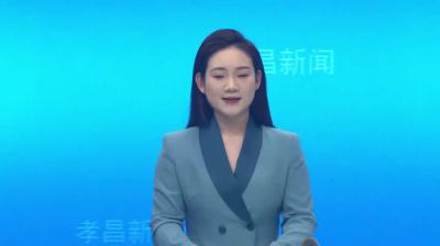 --孝昌：强化工业“赋能挺脊”  助推县域经济高质量发展