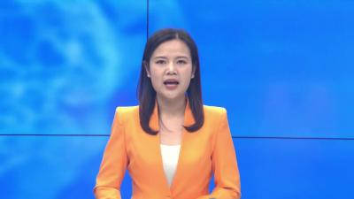 湖北宏昇铜业有限公司项目开业仪式举行