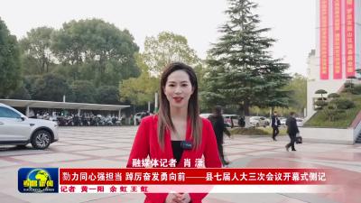 --勠力同心强担当 踔厉奋发勇向前——县七届人大三次会议开幕式侧记