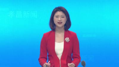 --胡飞参加政协孝昌县七届三次会议工商联界委员分组讨论