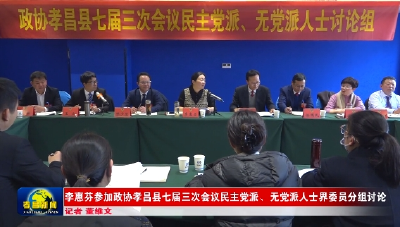 李惠芬参加政协孝昌县七届三次会议民主党派、无党派人士界委员分组讨论