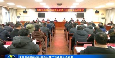 孝昌县供销合作社联合社第二次代表大会召开
