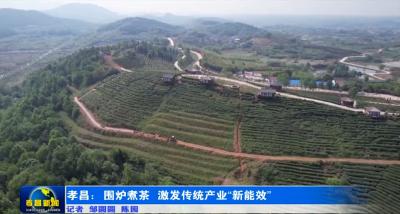 孝昌：围炉煮茶  激发传统产业“新能效”