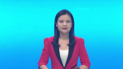 北京清华同衡规划设计研究院专家组一行来我县调研