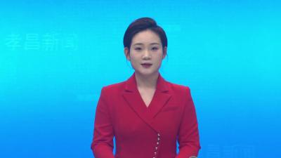 清华大学专家团队到我县开展专题讲座