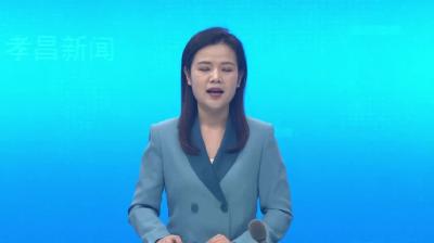 湖北孝昌：“年宵花”大花蕙兰走俏春节市场
