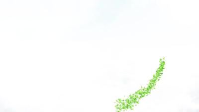 我县收听收看全省优化营商环境大会