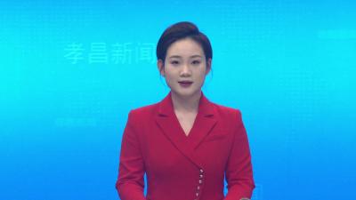 孝昌县第五次全国经济普查入户登记启动仪式举行