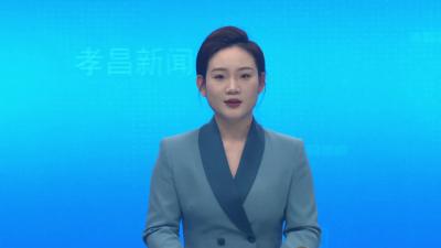 农光互补 一地两用