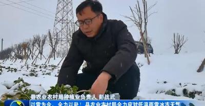 以雪为令，全力以赴！县农业农村局全力应对低温雨雪冰冻天气