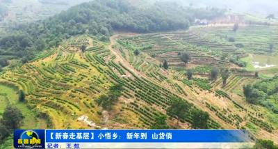 孝昌小悟：新年到 山货俏