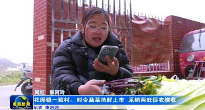 花园镇一致村：时令蔬菜抢鲜上市 采销两旺促农增收