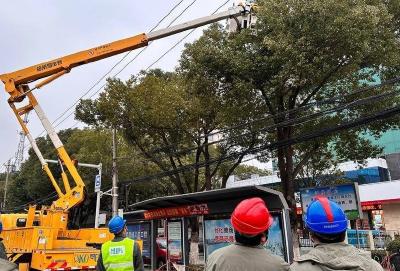 孝昌县供电公司：清理树障迎寒潮，全力以赴保供电
