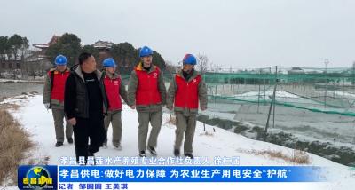 孝昌供电：做好电力保障 为农业生产用电安全“护航”