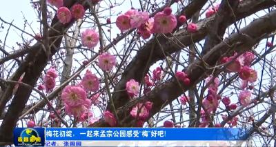 梅花初绽，一起来公园感受“梅”好吧!