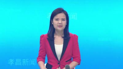 --孝昌县食品生产企业及小作坊落实主体责任培训推进会召开