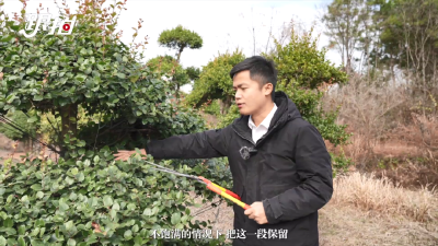 青年榜样！孝昌90后荣获全国奖项