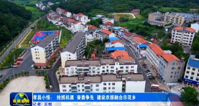 孝昌小悟： 抢抓机遇 奋勇争先 建设农旅融合示范乡