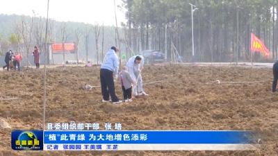 “植”此青绿 为大地增色添彩