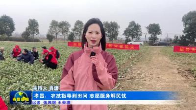孝昌：农技指导到田间 志愿服务解民忧