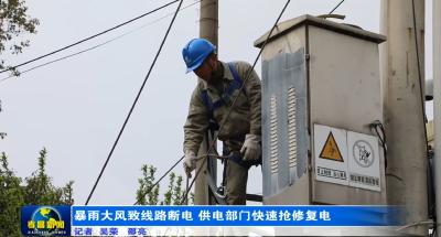 孝昌：暴雨大风致线路断电 供电部门快速抢修复电