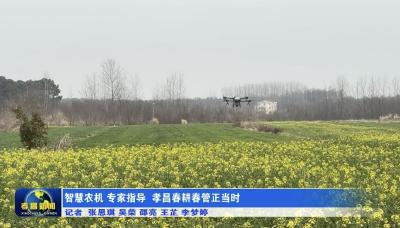 智慧农机、专家指导……孝昌春耕春管正当时