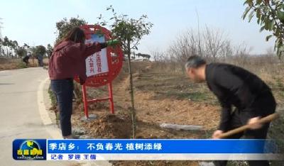 季店乡：不负春光 植树添绿