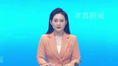 --省教育厅到王店镇开展义务植树活动