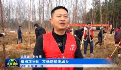 孝昌：植树正当时  万株新绿美城乡