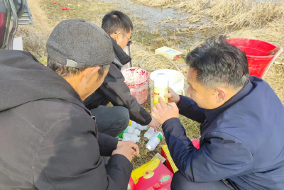 孝昌县农业技术推广中心：小麦春季田管忙，“一喷三防”促增收