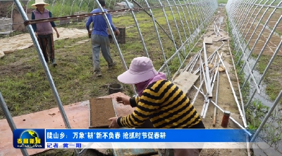 陡山乡：万象“耕”新不负春 抢抓时节促春耕