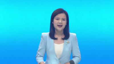 小河镇：满园茶飘香 春茶采摘忙