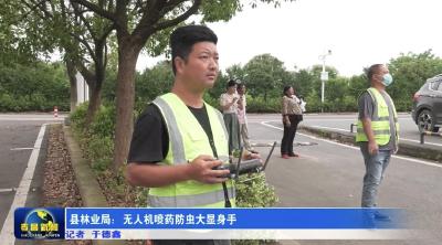 县林业局：无人机喷药防虫大显身手
