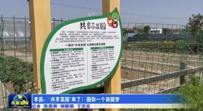 孝昌：“共享菜园”来了！圆你一个田园梦