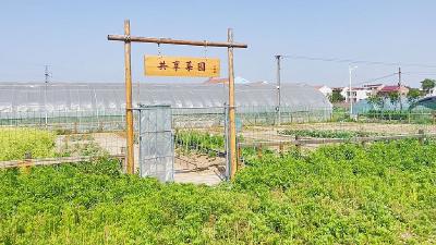 孝昌：“共享菜园”来了！圆你一个田园梦