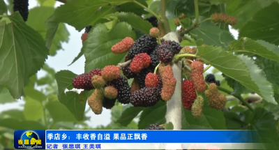 孝昌季店：丰收香自溢 果品正飘香