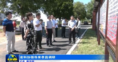 省科协领导来孝昌调研
