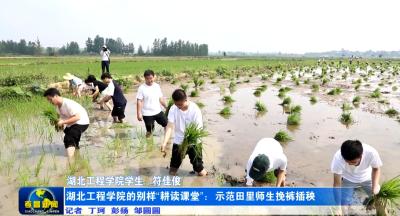 湖北工程学院的别样“耕读课堂”：示范田里师生挽裤插秧