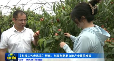 程琪：科技创新助力桃产业提质增效